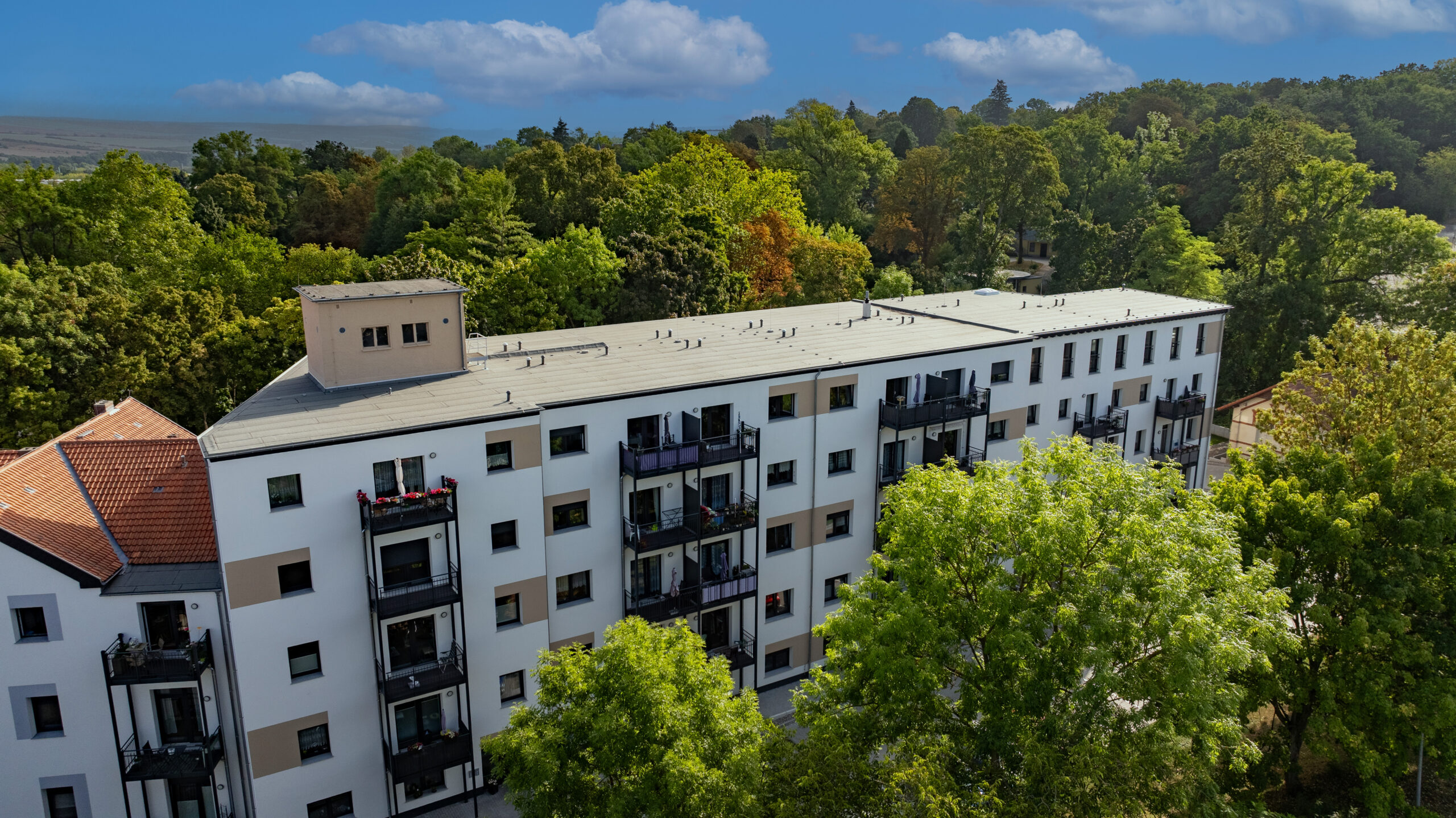 Kamillus Sangerhausen